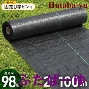 ぼうそうしーと 雑草 雑草駆除 シート 芝 砂利 雑草防止シート ロール 雑草シート 雑草 UV剤入り 2m×100m ピン付きあり 除草シート 防草シート