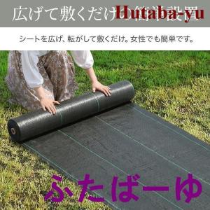 ぼうそうしーと 雑草 雑草駆除 シート 芝 砂...の詳細画像1