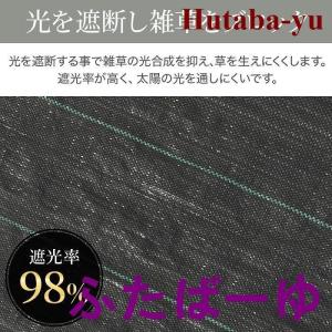 ぼうそうしーと 雑草 雑草駆除 シート 芝 砂...の詳細画像3