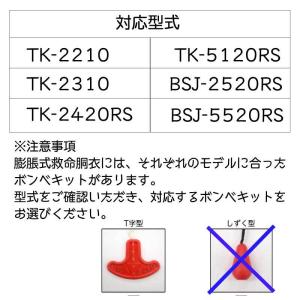 交換用ボンベ ライフジャケット用ボンベ 救命胴...の詳細画像1