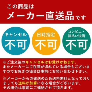 アンカー チェーン 亜鉛メッキ ドブ浸 φ6m...の詳細画像3