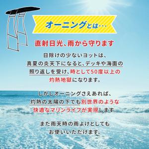 ボート オーニング システムT-TOPジュニア...の詳細画像2