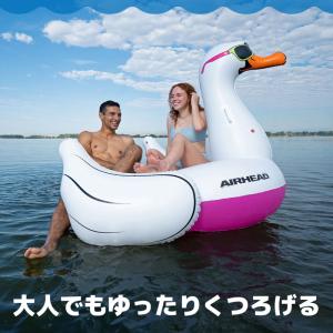 フロート AIRHEAD COOL SWAN ...の詳細画像3