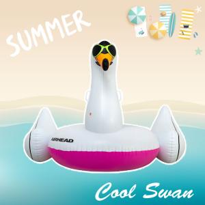 フロート AIRHEAD COOL SWAN ...の詳細画像5