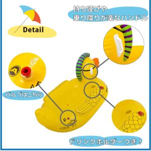 フロート 1人乗り AIRHEAD パンクダッ...の詳細画像5