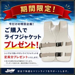 トーイングチューブ OBRIEN HOVR 3...の詳細画像1