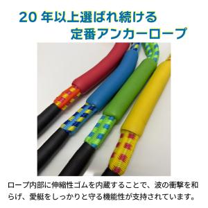 TIGHT JAPAN PWC PWC専用 レ...の詳細画像1