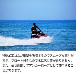 TIGHT JAPAN PWC PWC専用 レ...の詳細画像4
