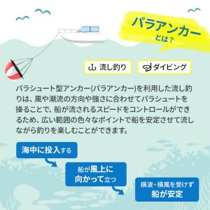 シーアンカー パラアンカー 10FS 25〜3...の詳細画像2