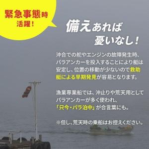 シーアンカー パラアンカー 10FS 25〜3...の詳細画像4