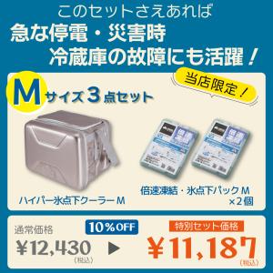 クーラーボックス ロゴス 保冷剤 3点セット ...の詳細画像1