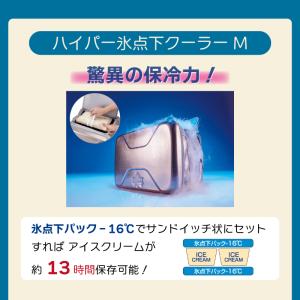 クーラーボックス ロゴス 保冷剤 3点セット ...の詳細画像2
