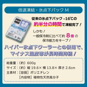 クーラーボックス ロゴス 保冷剤 3点セット ...の詳細画像4