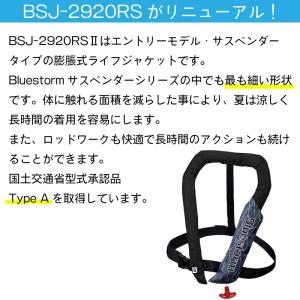 ライフジャケット 桜マーク タイプA 自動膨張...の詳細画像3