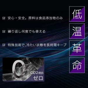保冷剤 長時間 氷点下 2個セット アイスエナ...の詳細画像2