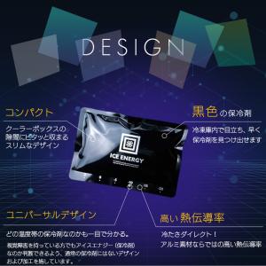 保冷剤 長時間 氷点下 2個セット アイスエナ...の詳細画像5
