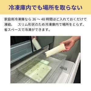 ロゴス 保冷剤 氷点下パックGT-16℃・ギャ...の詳細画像4