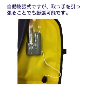 ライフジャケット 桜マーク タイプA 首掛式 ...の詳細画像3