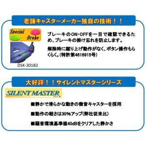 ナンシン 樹脂運搬車 サイレントマスター DS...の詳細画像2