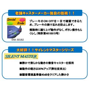 ナンシン 樹脂運搬車 サイレントマスター DS...の詳細画像1