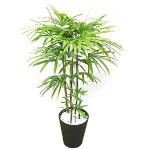 和風観葉植物シュロチク 植木鉢 プランター の商品一覧 園芸用品 花 ガーデニング 通販 Yahoo ショッピング