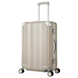 スーツケース 24-inch Aileron Gray Spinner