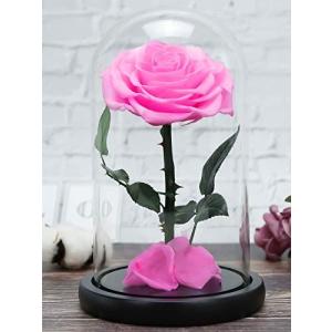 美女と野獣 バラ プリザーブドフラワー花束 アレンジメント の商品一覧 プリザーブドフラワー 花 ガーデニング 通販 Yahoo ショッピング