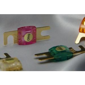 ミニ　ANL(GOLD)クライオヒューズ