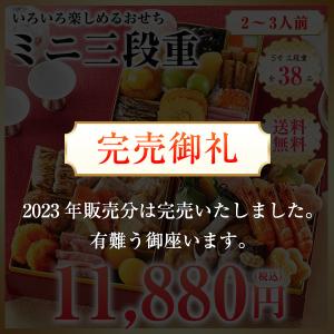 おせち  2024 2人前〜3人前 おせち料理 三段重 予約 送料無料 お節 御節 和風 洋風 ミニ三段重 38品目