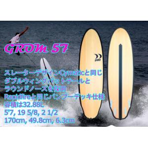 送料無料】I-ENZER／アイエンザー／PP2# 5'10