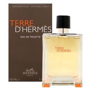 [HERMES]エルメス テールドエルメスEDT 100ml SP (オードトワレ)[香水][送料無...