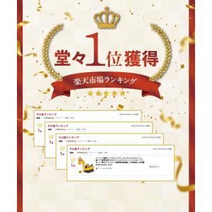 [楽天ランキング1位]トイコー 乗用マイクロシ...の詳細画像2