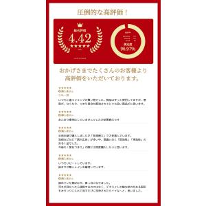 和協産業 デオライトL 1kg [尿石除去剤/...の詳細画像1