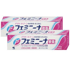 [第2類医薬品][セット]フェミニーナ軟膏　30ｇ×2個(セルフメディケーション税制対象)[小林製薬株式会社][メール便送料無料]｜osharecafe