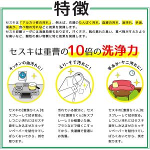 レック セスキの[激落ちくん]詰替360ml[...の詳細画像4