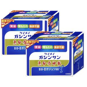 [第2類医薬品][セット] 恵命我神散 400g×2個 [株式会社恵命堂][送料無料]