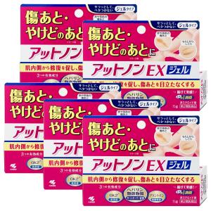 [楽天ランキング1位][第2類医薬品][セット]アットノンEXジェル 15g×5個[皮膚の薬][小林製薬株式会社][メール便送料無料]｜おしゃれcafe