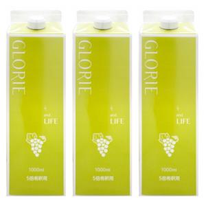 セット]IZM酵素ドリンク1000ml×2本 バーンアセロラテイスト BURN