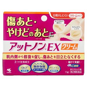 [第2類医薬品]アットノンEXクリーム 15g[皮膚の薬][小林製薬株式会社][メール便対応商品][SBT]｜おしゃれcafe