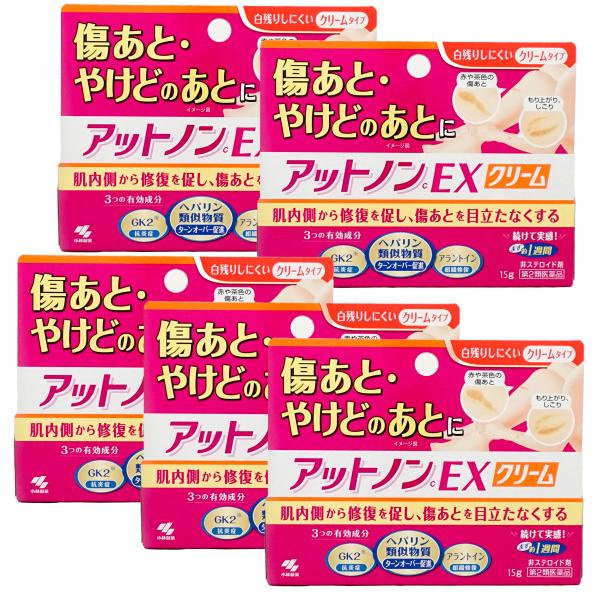 [第2類医薬品][セット]アットノンEXクリーム 15g×5個[皮膚の薬][小林製薬株式会社][メー...