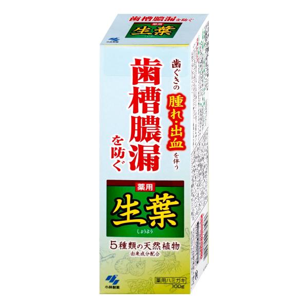 小林製薬 薬用生葉 100g[医薬部外品][SBT]