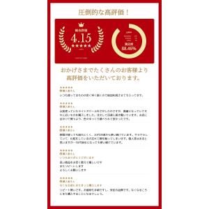 花王 プリマヴィスタ ブライトチャージパウダー...の詳細画像1