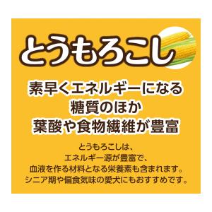 ペットプロジャパン HappyDays 大地か...の詳細画像2