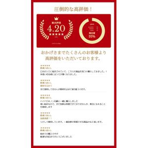 旭研究所 業務用 純ハイドロキノン5%クリーム...の詳細画像1