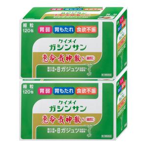 [第2類医薬品][セット]恵命我神散S 細粒 120包×2個[株式会社恵命堂][胃腸薬][送料無料]