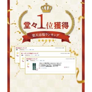 [楽天ランキング1位][2本セット][国内正規...の詳細画像1