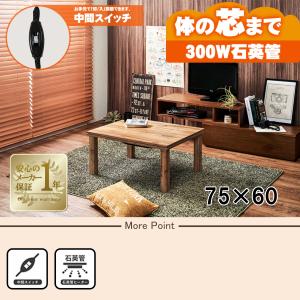[直送]カジュアルコタツ[カルテス7560] ナ...の商品画像