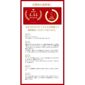 シュワルツコフ ファイバープレックス ボンドオ...の詳細画像1