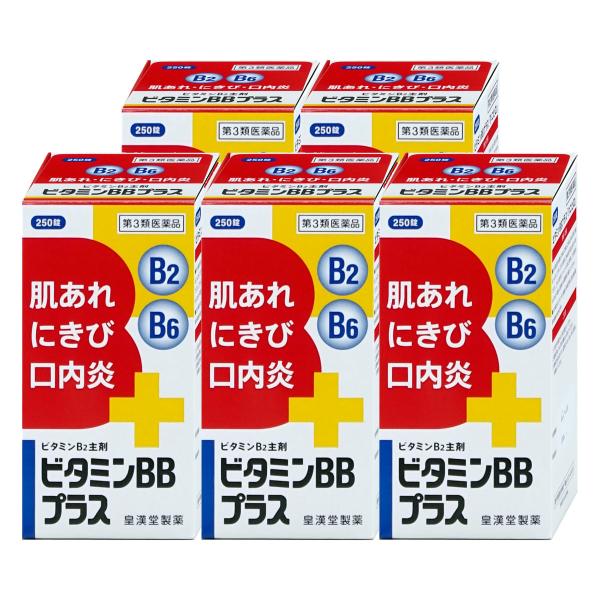 [第3類医薬品][セット]ビタミンBBプラス 「クニヒロ」 250錠×5個[皇漢堂製薬][肌トラブル...