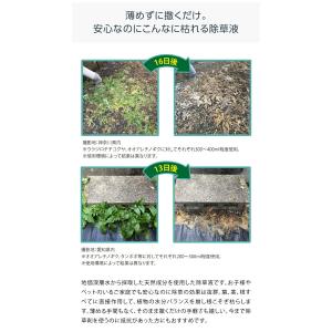 プロイデア 庭師さんのミネラル除草液 2L[天...の詳細画像3